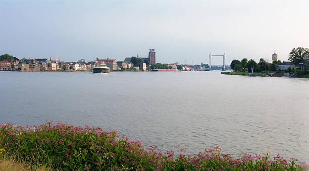 view on the city of Dordrecht view over water on the city of Dordrecht behind a row of wild flowers and a rhine barge closing head-on dordrecht photos stock pictures, royalty-free photos & images