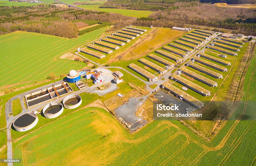 Biogas plant and pig farm in green fields. Aerial view to biogas plant from pig farm in green fields. Renewable energy from biomass. Modern agriculture in Czech Republic and European Union. Biogas Stock Photo