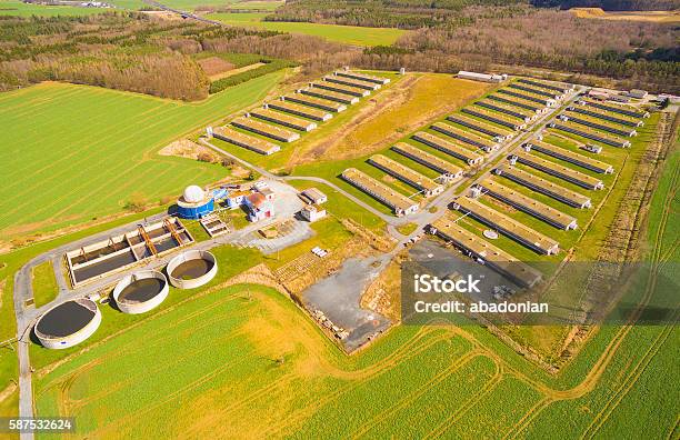 Biogas Plant And Pig Farm In Green Fields Stock Photo - Download Image Now - Biogas, Factory, Plant