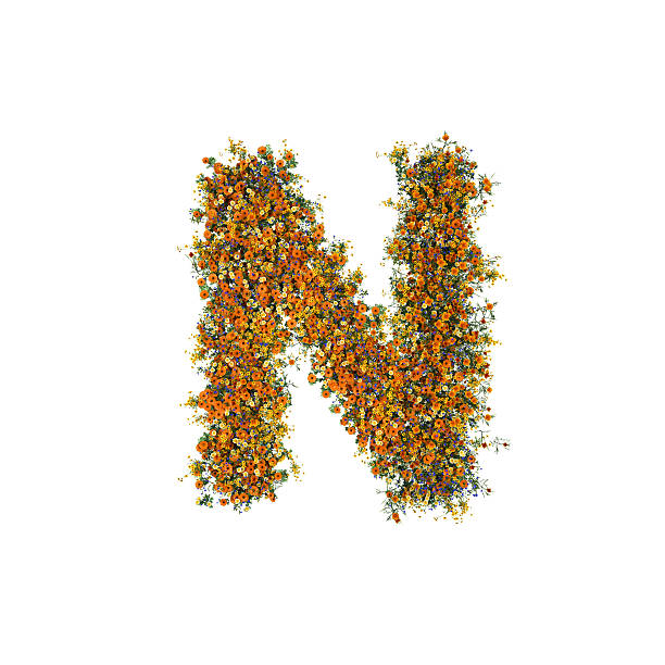 istock Letter N of Flowers and Grass on White Background 587535514