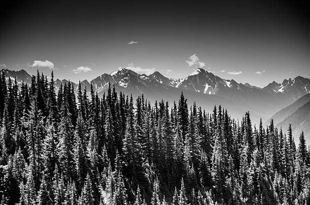 istock Breathtaking Olympic National Park 587536370