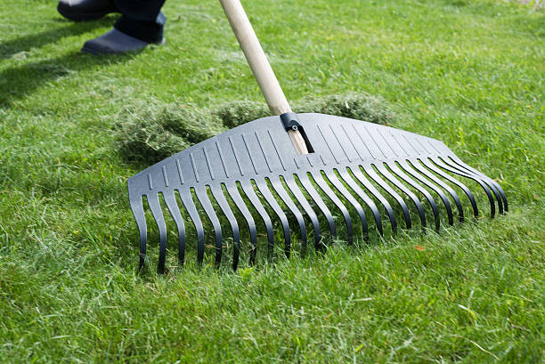Gardener, collecting grass clippings with black plastic rake. stock photo