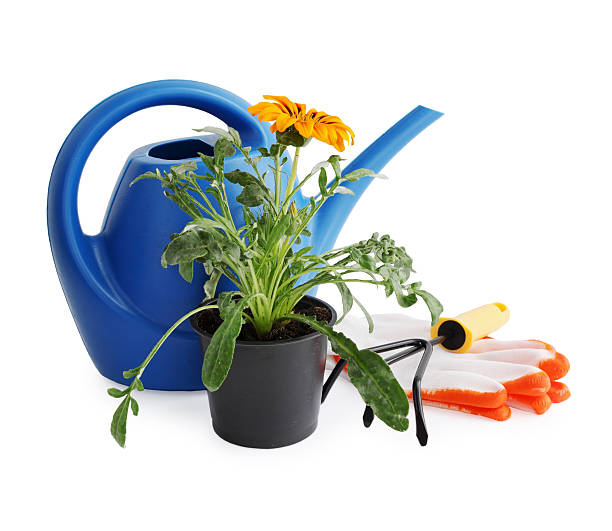 istock Garden still life on white background 587540012