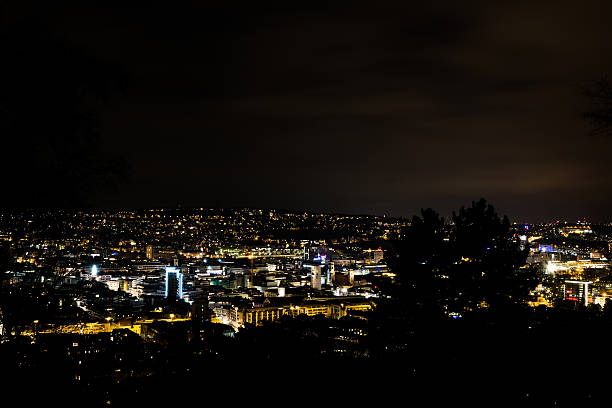 istock Tree Silouhette Stuttgart Landscape View Night Glowing City 587541298