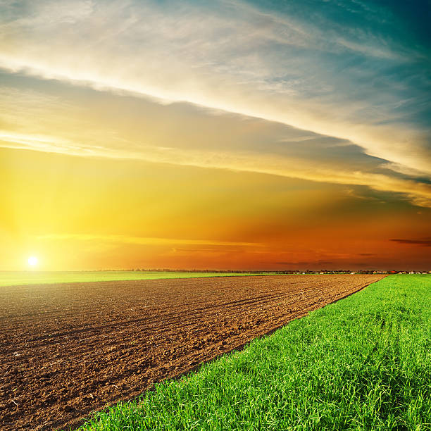 istock good orange sunset over black and green fields 587541364