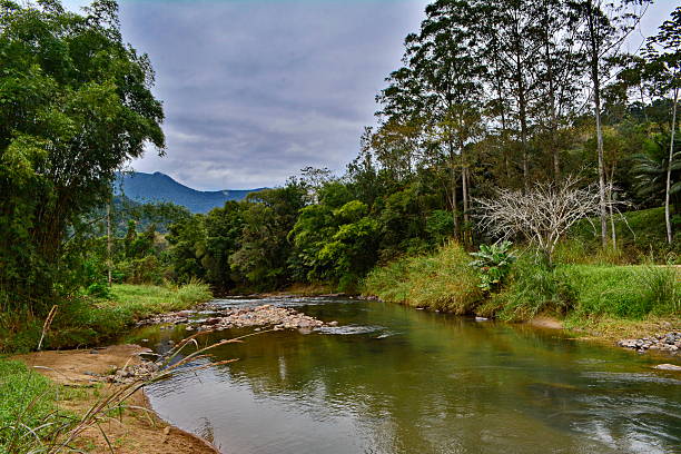 istock Rural Landscape with River, tree and montain 587542938