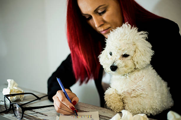 istock Attractive woman working with her dog 587544210