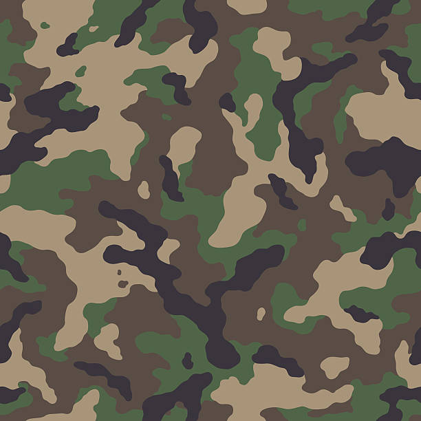 kamuflaż bezszwowe wzór - camouflage stock illustrations