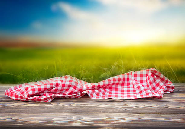 Picnic table with checked pattern tablecloth.\nLush green fern is on back side of the table.