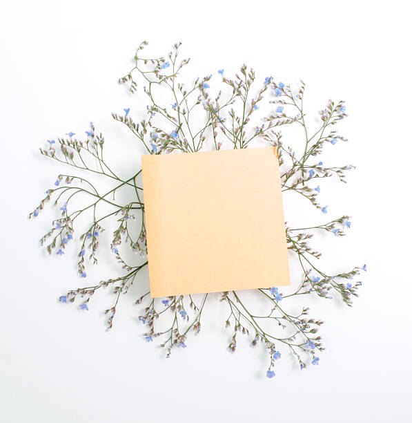 istock sheet of paper 587550316