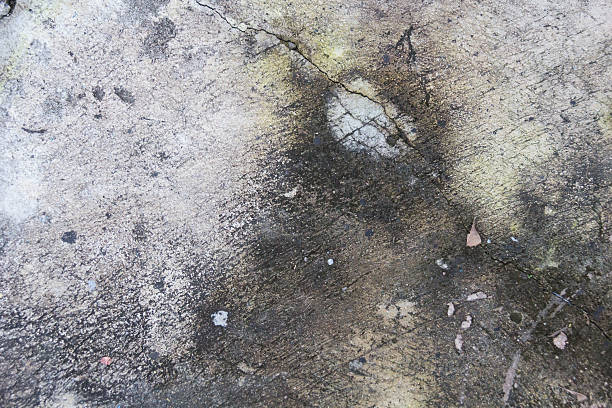 istock grunge moist dirty stain concrete wall texture background 587773216