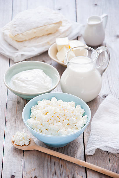 nuovi prodotti lattiero-caseari  - farmers cheese foto e immagini stock