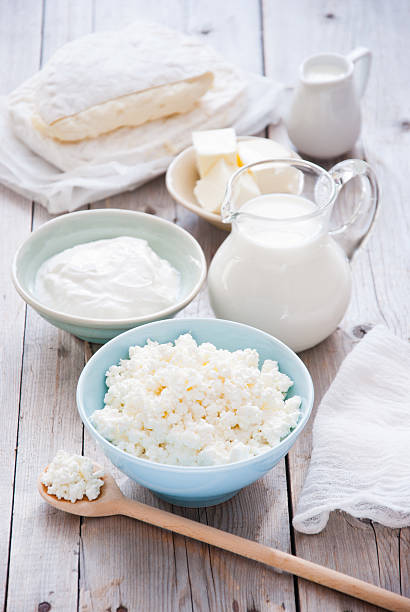 produtos lácteos frescos - farmers cheese imagens e fotografias de stock