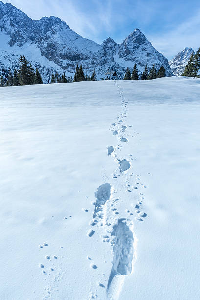 istock Alpine path of footsteps in the snow 587774772