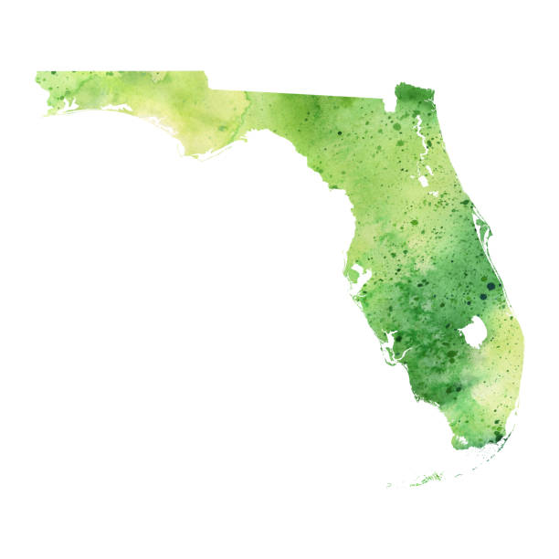 Map of Florida with Watercolor Texture - Raster Illustration A highly detailed map of the US state of Florida with a multicoloured, yellow and green hand painted watercolor texture. Map is isolated on a white background. Raster illustration. florida us state stock illustrations