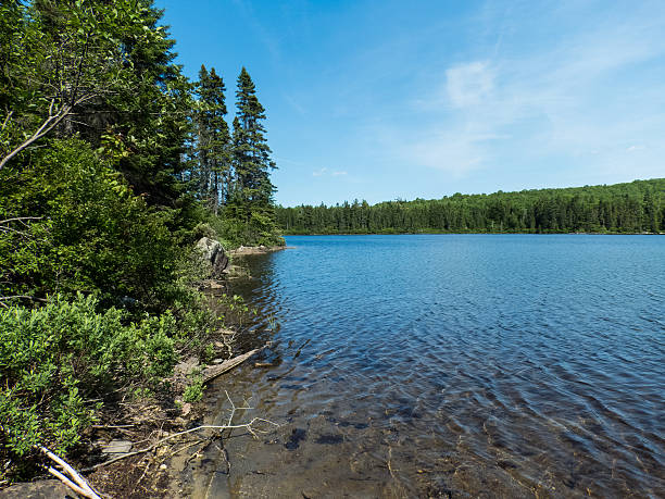 istock Lake La Mauricie NP, Canada 587777398