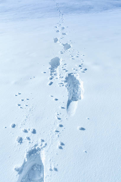 istock Winter background with footprints in the snow 587777868