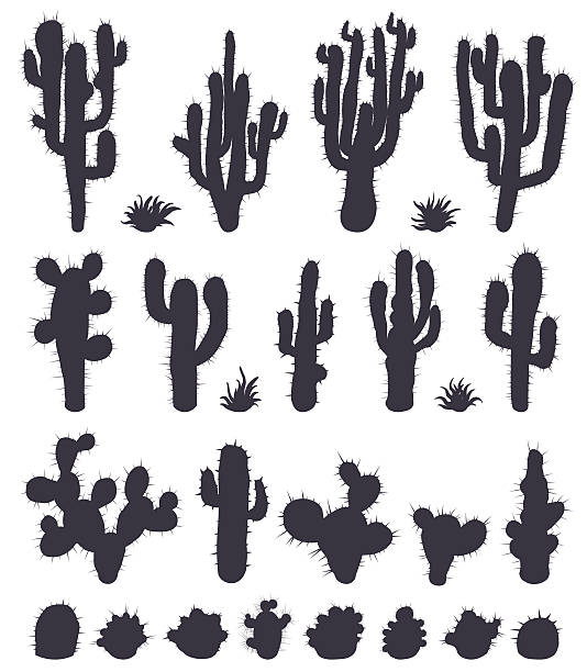 2,952 Cactus Silhouette Illustrations & Clip Art - iStock | Cactus silhouette vector 2,952 Cactus Silhouette Illustrations & Clip Art - iStock | Cactus silhouette vector