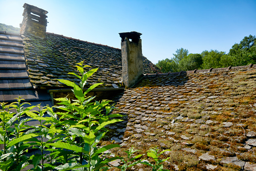 Tiled roof on old french house in the mountains in south east France. The backlit scenery has a hazy lens flare look