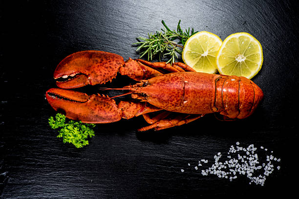 istock Top view of whole red lobster on slate 587780250