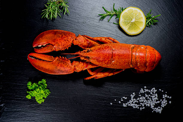 istock top view of whole red lobster on slate 587780266