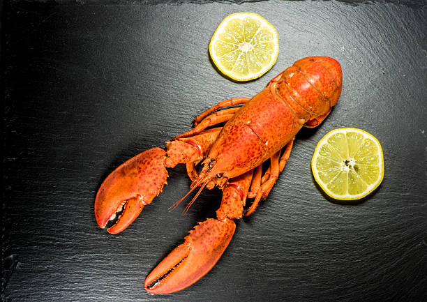 vue de dessus du homard rouge entier sur ardoise - gourmet food lobster seafood photos et images de collection