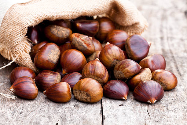 castanhas frescas em saco de saco na mesa de madeira velha - castanha - fotografias e filmes do acervo