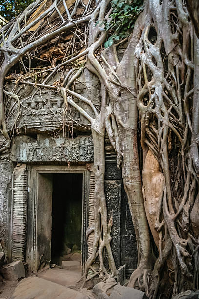 istock Temple entrance at Angkor Wat 587780782