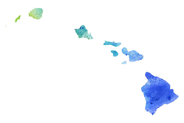 illustrations, cliparts, dessins animés et icônes de carte d’hawaï avec texture aquarelle - illustration raster - lanai