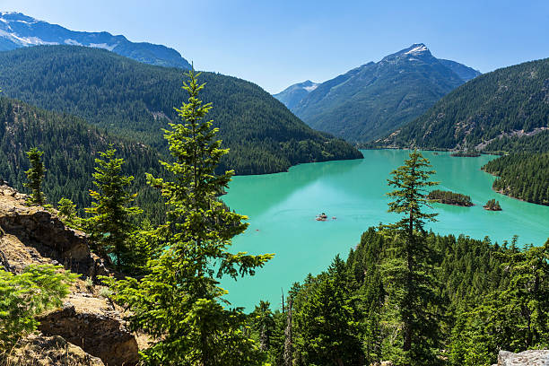 alberi sopra il lago turchese diable - north cascades national park northern cascade range reservoir mountain foto e immagini stock