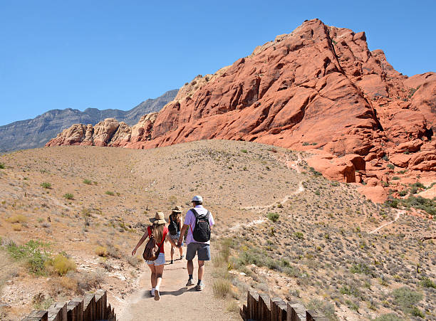 istock Family  on a hiking trip on a summer vacation. 587784792