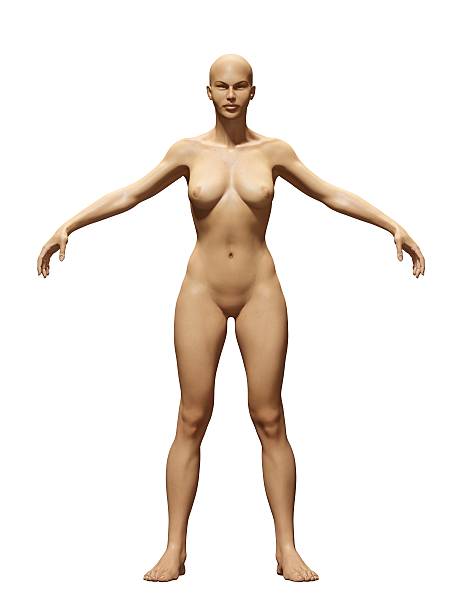 istock Standard health women 587787728