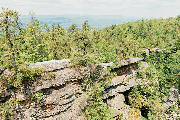 Forest View with Cliffs of Shawangunk Appalachian Mountains NY