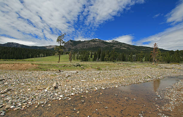 istock Pebble Creek at Lamar Valley Yellowstone National Park 587788574
