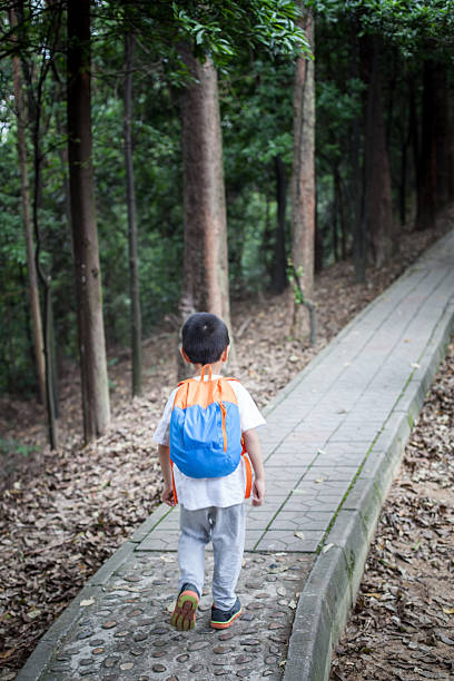 istock Asian child hiking in the mountain 587791070