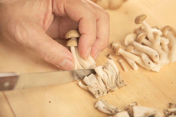 istock Slicing Hon-Shimeji mushroom 587793062