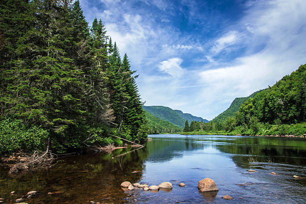 istock Panoramic view of Jacques Cartier River 587794240