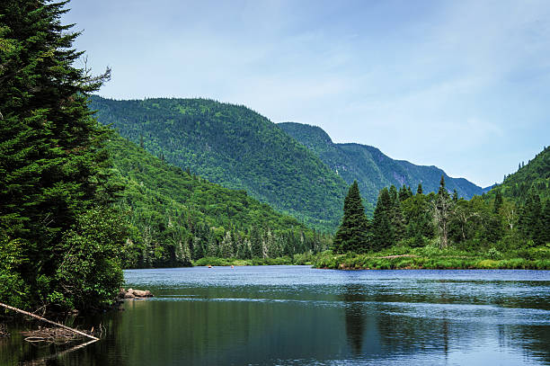 istock Panoramic view of Jacques Cartier River 587794422
