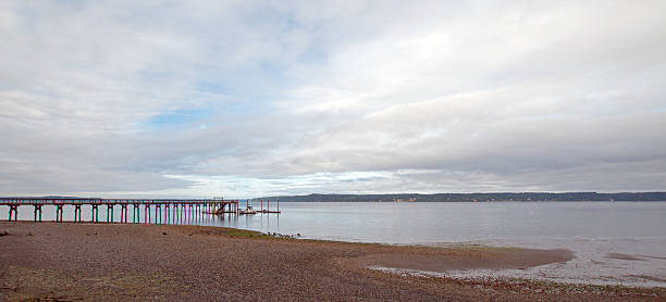 istock Joemma Beach State Park Pier Boat Dock at low tide 587796908