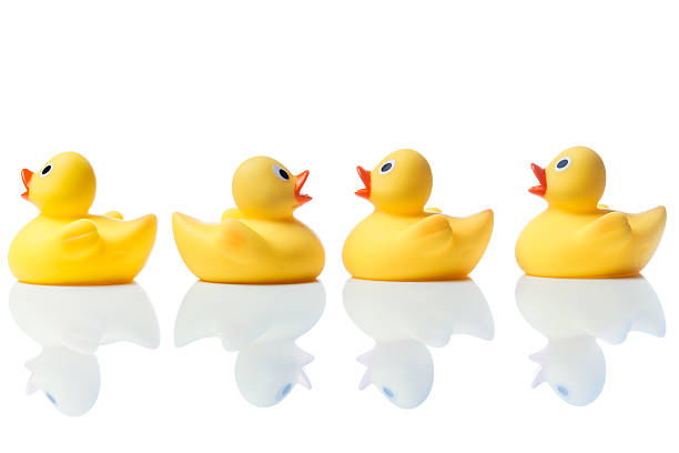 istock Swimming against the stream, rubber ducks on white 587799934
