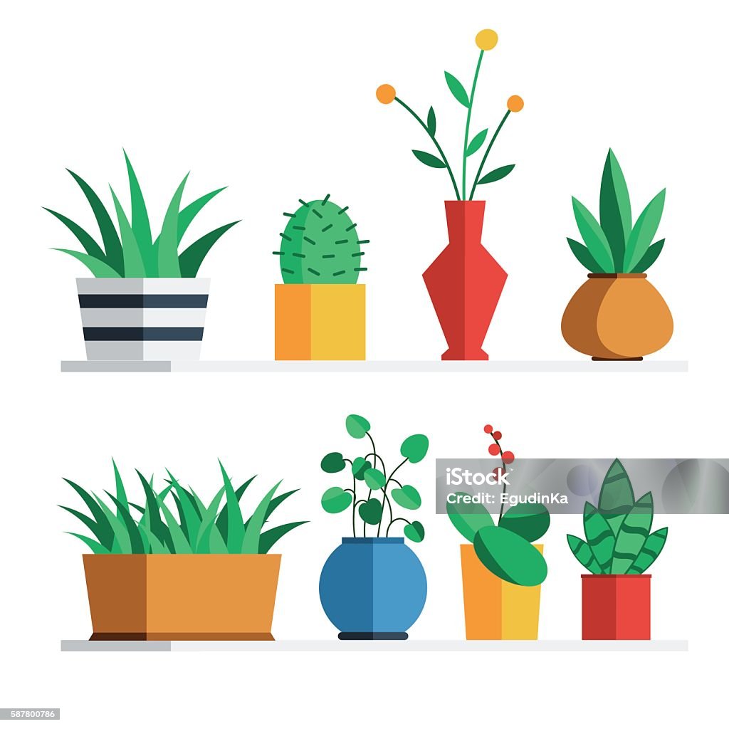 House plants and flowers House plants and flowers in colored pots on the shelf for home or office interior decoration. Vector illustration flat style design set isolated on white background Flower Pot stock vector