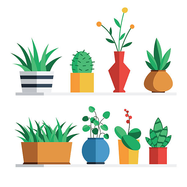 House plants and flowers House plants and flowers in colored pots on the shelf for home or office interior decoration. Vector illustration flat style design set isolated on white background bush isolated white background plant stock illustrations