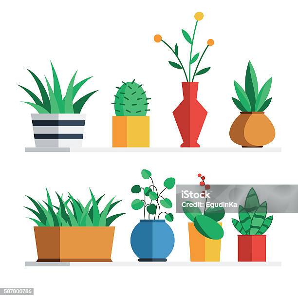 House Plants And Flowers Stock Illustration - Download Image Now - Flower Pot, Cactus, Potted Plant