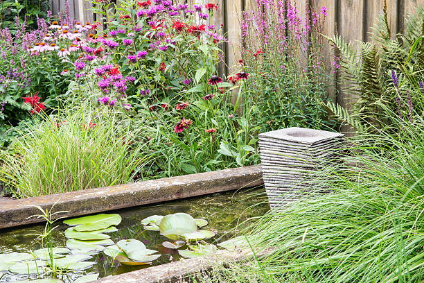 giardino ornamentale con laghetto e piccola fontana - fountain landscaped ornamental garden flower bed foto e immagini stock