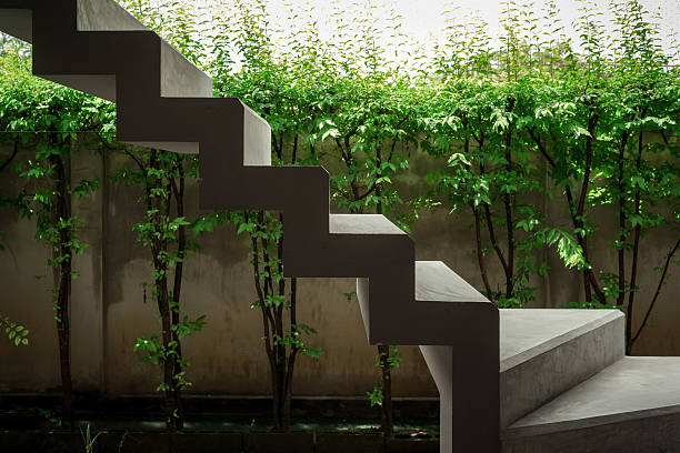 Floating concrete stairways with green plants and wall