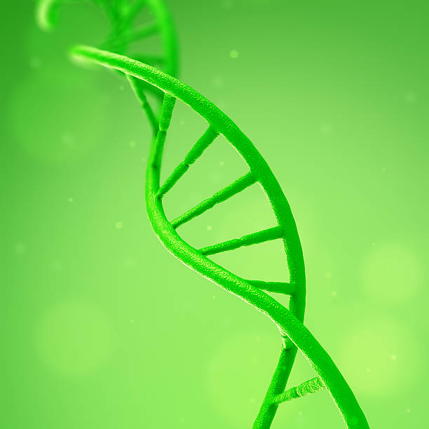 istock DNA Plants on a green background 587805422