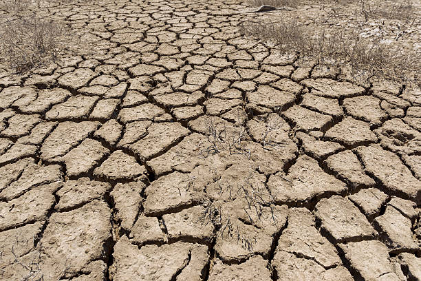 istock Dry Land Crecked Desert 587806778