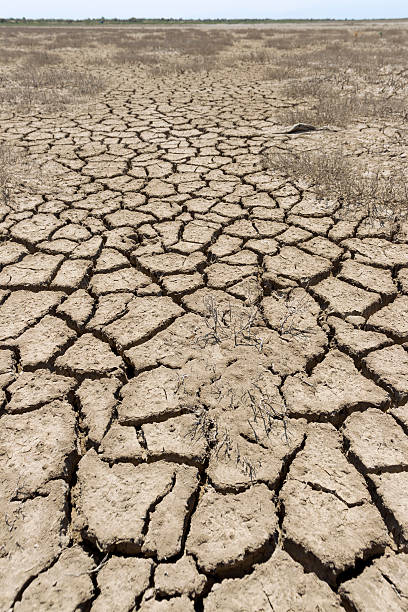 istock Dry Land Crecked Desert 587807068