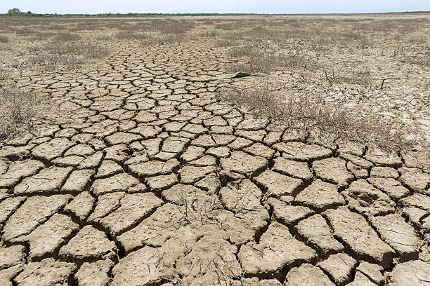 istock Dry Land Crecked Desert 587807322