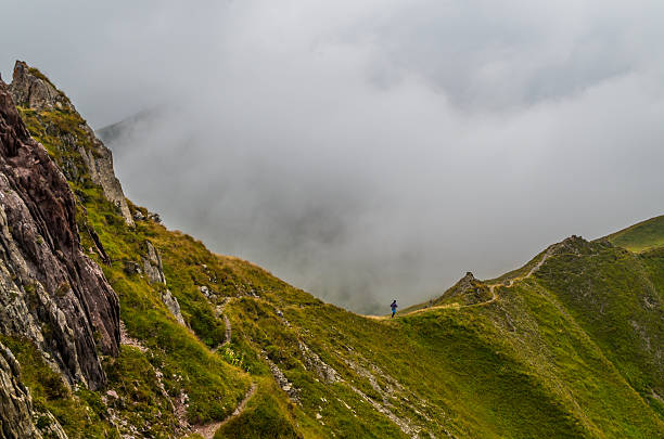 самка в горах лехтальских альп, северный тироль, австрия - lechtal alps стоковые фото и изображения